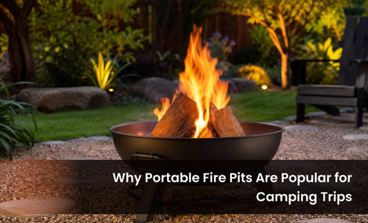  portable fire pit